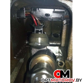 Форсунка топливная  Volkswagen Passat B6 2008 038130073AG          #1