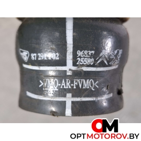 Сигнал звуковой  Citroen C4 2 поколение 2012 9683725580 #2