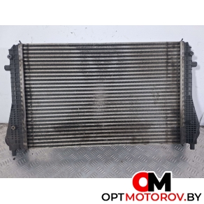 Радиатор основной  Volkswagen Tiguan 1 поколение 2008 3C0145805P #4