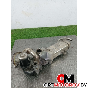 Радиатор EGR  Volkswagen Golf 6 поколение 2012 03L131512Cf #1