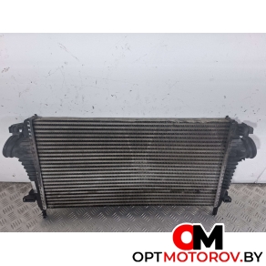 Передняя панель (телевизор)  Opel Insignia 1 поколение (A) 2012 13241751, P1831002 #3