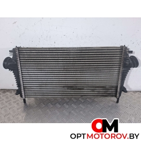 Передняя панель (телевизор)  Opel Insignia 1 поколение (A) 2012 13241751, P1831002 #4