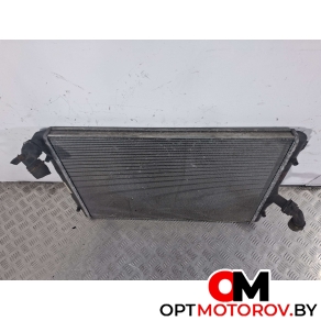 Интеркулер  Volkswagen Passat B6 2008 3C0121253AL, 3C0121253 #3