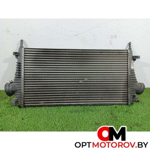 Радиатор основной  Opel Insignia 1 поколение (A) 2011 13241751 #1