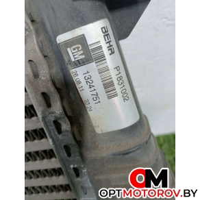 Радиатор основной  Opel Insignia 1 поколение (A) 2011 13241751 #2