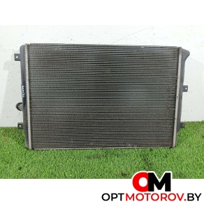 Вентилятор радиатора  Volkswagen Passat B6 2009 3c0121253q #1
