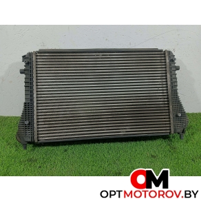 Радиатор основной  Volkswagen Passat B6 2009 3c0145805r #2
