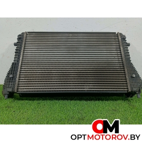 Радиатор основной  Volkswagen Passat B6 2009 3c0145805r #3