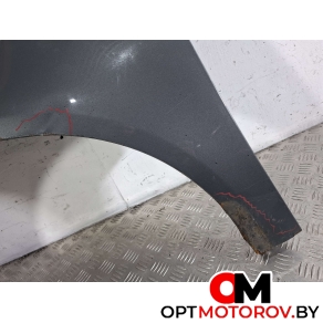 Крыло переднее левое  Volkswagen Passat B6 2009 3C0880681 #2