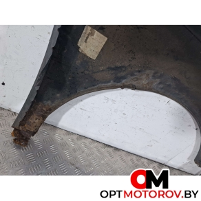 Крыло переднее левое  Volkswagen Passat B6 2009 3C0880681 #5