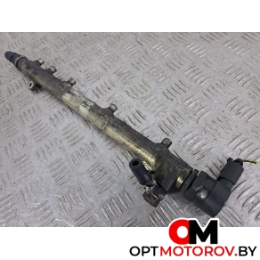 Топливная рампа  Mercedes-Benz C-Класс W203/S203/CL203 [рестайлинг] 2005 A6110780449, 0281002494, 0445214073, A6460700295, 0281002504 #1