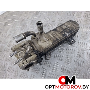 Радиатор EGR  Volkswagen Golf 5 поколение 2006 03G131063E, 038131513AD #2