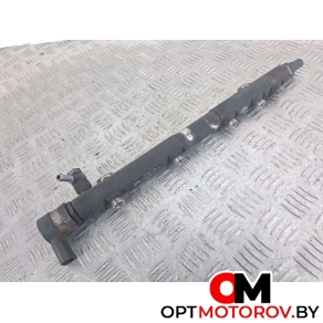 Топливная рампа  Mercedes-Benz Sprinter 2 поколение (W906) 2006 A6460701895, 6460701895, A6420780149, 0281002794 #1