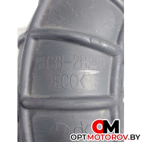 Патрубок воздушного фильтра  Hyundai Santa Fe 2 поколение (CM) 2007 281382B200 #6