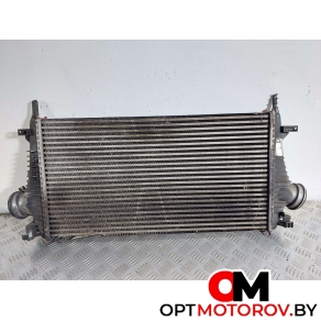 Интеркулер  Opel Insignia 1 поколение (A) 2009 13241751 #1