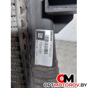 Интеркулер  Opel Insignia 1 поколение (A) 2009 13241751 #3