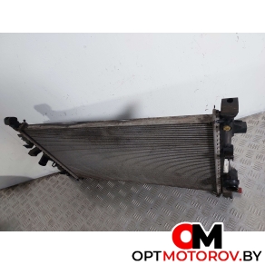 Радиатор основной  Opel Insignia 1 поколение (A) 2009 13241725 #4