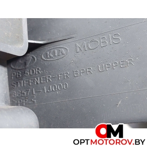Дефлектор радиатора  Hyundai i20 PB 2009 865711J000 #4