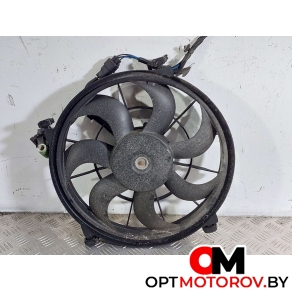 Вентилятор радиатора  Hyundai i20 PB 2009 A005341 #1