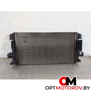 Радиатор основной  Opel Astra J 2011 13267647 #1