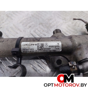 Топливная рампа  Mercedes-Benz E-Класс W211/S211 [рестайлинг] 2008 A6460700395, 9144Z142A, 9307Z515A, 9307Z512A #2