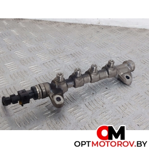 Топливная рампа  Opel Insignia 1 поколение (A) 2010 0445214221, 55576177, 0281006158 #1