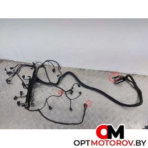 Проводка двигателя  Mercedes-Benz Sprinter 2 поколение (W906) 2010 A6461504233 #1