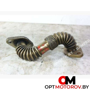 Патрубок (трубка) EGR  Volkswagen Passat B5 2000 28131521 #1