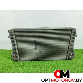 Радиатор основной  Volkswagen Passat B6 2009 3c0145805p #3