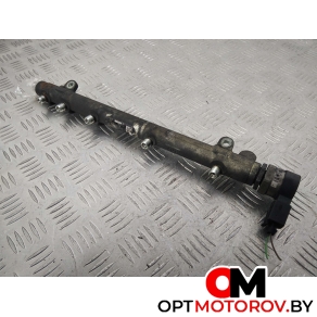 Топливная рампа  Mercedes-Benz E-Класс W211/S211 [рестайлинг] 2007 A6460701195, 0445214149, A6110780449, 0281002494 #1