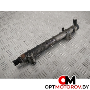 Топливная рампа  Hyundai Santa Fe 2 поколение (CM) 2009 0281002507, 0445214085, 3140027400 #7