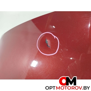 Капот  Opel Insignia 1 поколение (A) 2010  #5