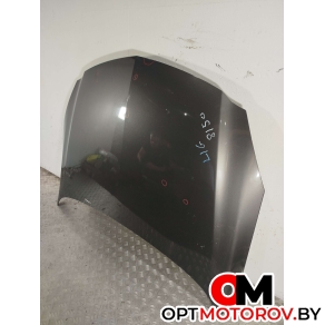 Капот  Opel Insignia 1 поколение (A) 2010  #2