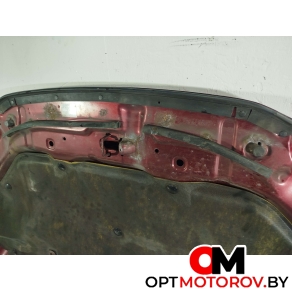 Капот  Toyota RAV4 3 поколение (XA30) 2006  #8