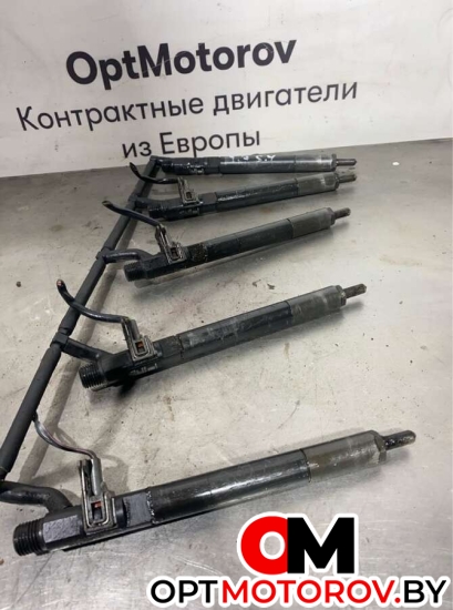 Форсунка топливная  SsangYong Rodius 1 поколение [рестайлинг] 2011 A6650170221          #2
