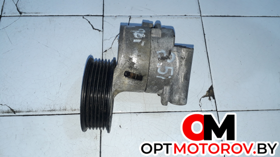 Натяжитель ремня агрегатов  Opel Omega B 1998 90528760AC #1