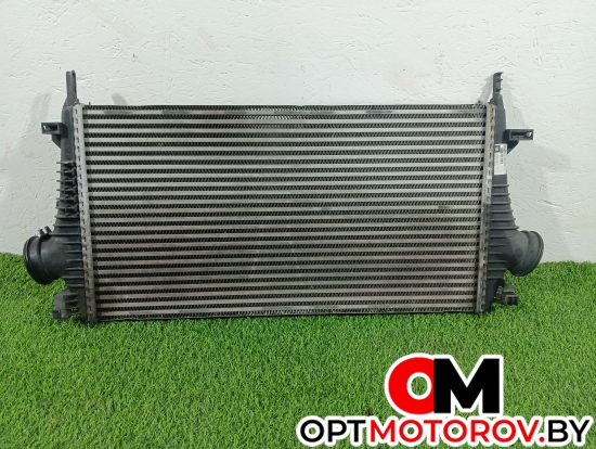 Радиатор основной  Opel Insignia 1 поколение (A) 2012 13241751 #1
