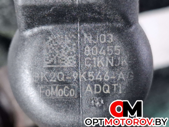 Форсунка топливная  Ford Transit 8 поколение 2014 BK2Q9K546AG #2
