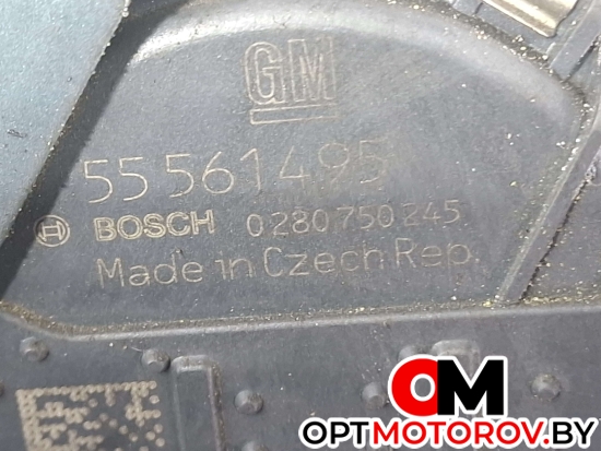 Форсунка топливная  Opel Astra J 2012 55561495, 0280750245 #3