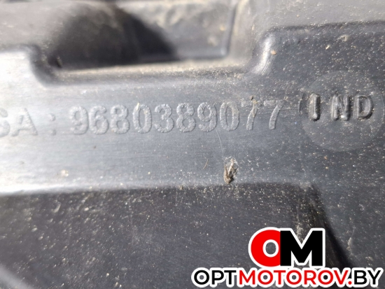 Передняя панель (телевизор)  Peugeot 308 T7 2011 9680389077 #7