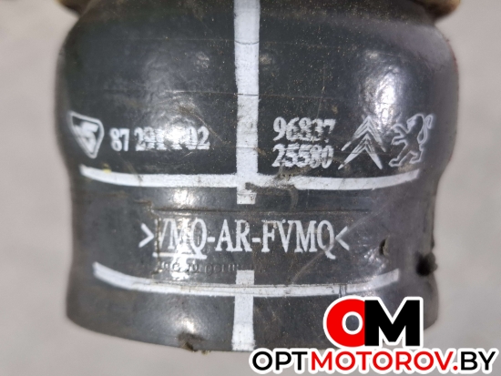 Сигнал звуковой  Citroen C4 2 поколение 2012 9683725580 #2