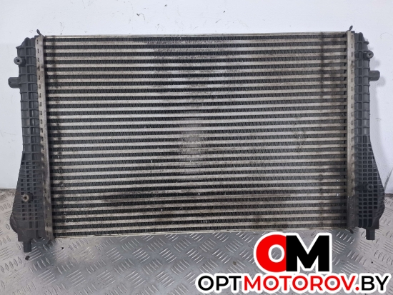 Радиатор основной  Volkswagen Tiguan 1 поколение 2008 3C0145805P #4