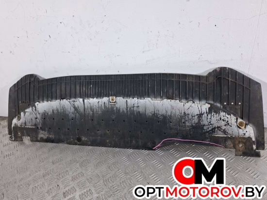 Защита бампера переднего  Audi A4 B7 2008 8K0807233 #1