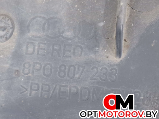 Защита бампера переднего  Audi A3 8P/8PA [2-й рестайлинг] 2009 8P0807233 #2
