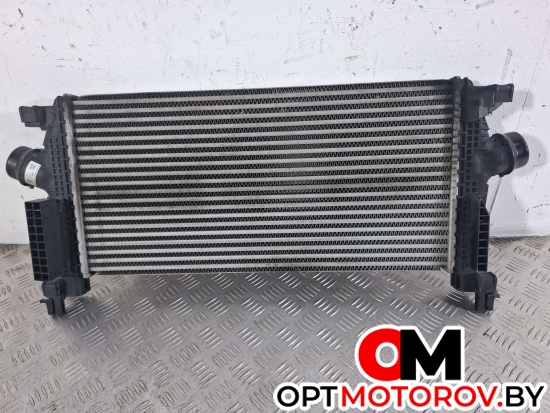 Вентилятор радиатора  Opel Astra J [рестайлинг] 2012 13267646 #1