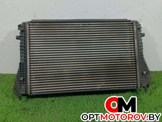 Радиатор основной  Volkswagen Passat B6 2009 3c0145805r #2