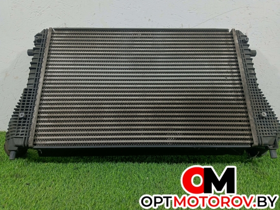 Радиатор основной  Volkswagen Passat B6 2009 3c0145805r #3