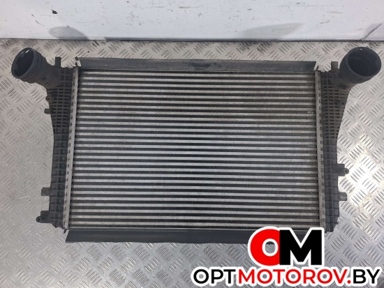 Радиатор основной  Volkswagen Passat B6 2008 3C0145805P, 3C0145805 #3