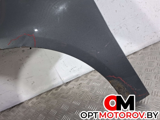 Крыло переднее левое  Volkswagen Passat B6 2009 3C0880681 #2