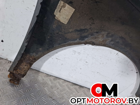 Крыло переднее левое  Volkswagen Passat B6 2009 3C0880681 #5
